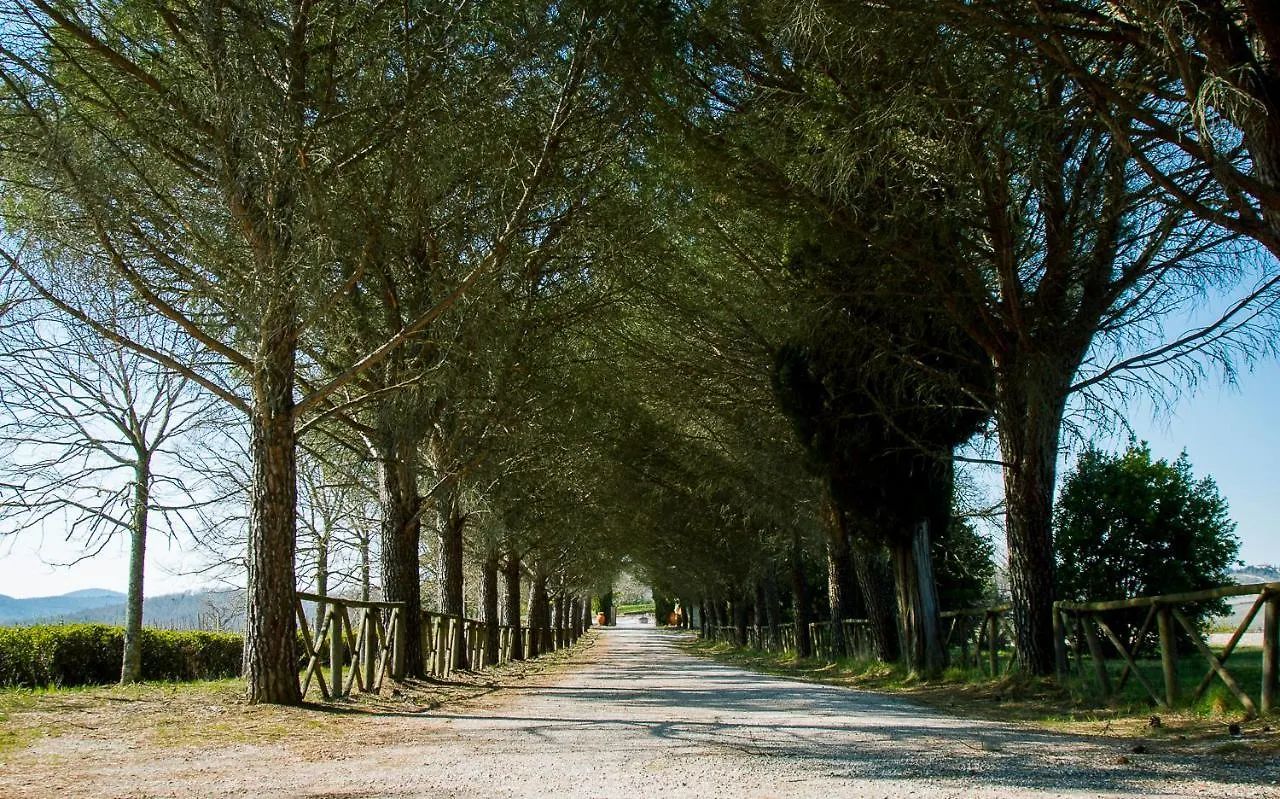 Villa Radda By Mmega Gaiole in Chianti 0*,
